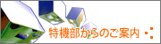 特注品