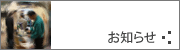 お知らせ