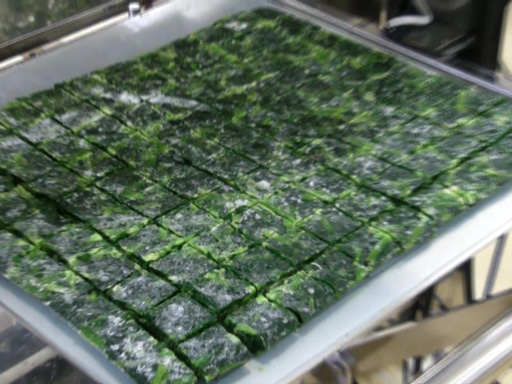 冷凍野菜